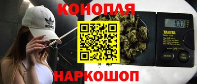 прущие крисы Партизанск