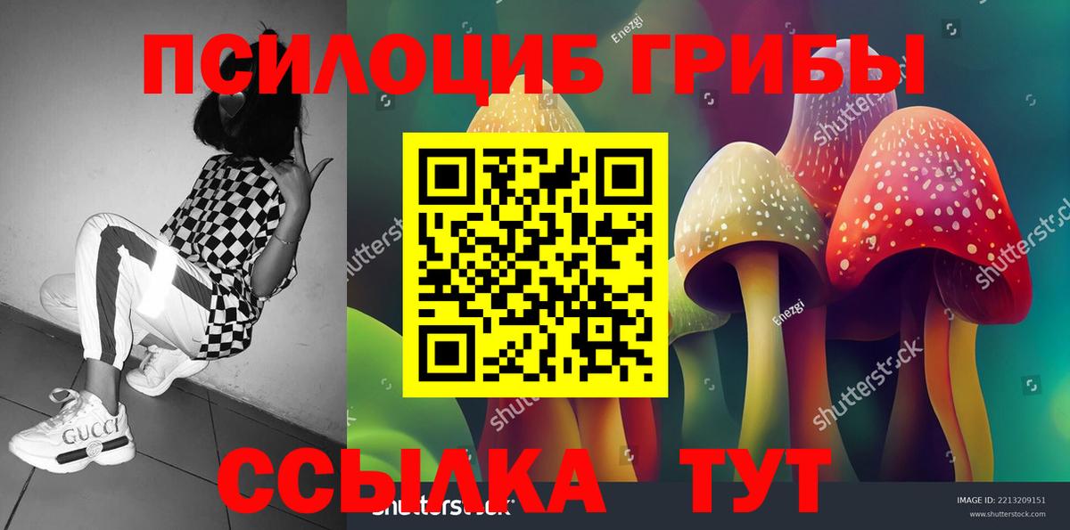 Псилоцибиновые грибы мухоморы Новомосковск